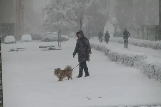 Синоптики предупреждают о сильном похолодании и снеге в Саратовской области